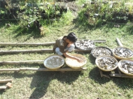 Menjemur Herbal